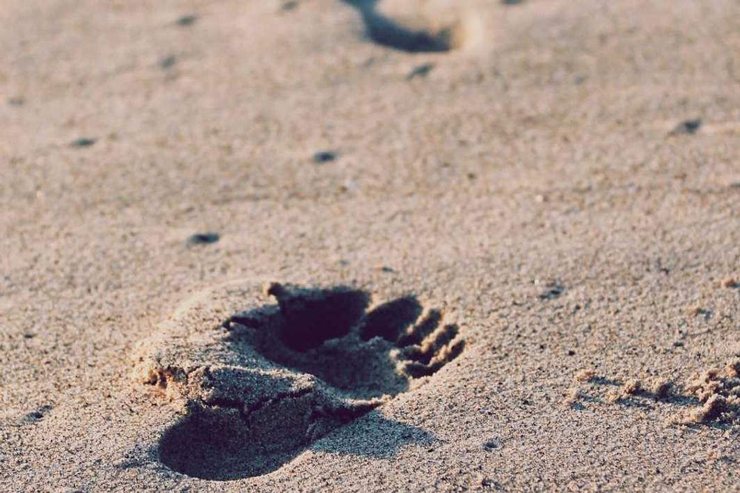 Blanditiis velit officiis id laudantium aut ab